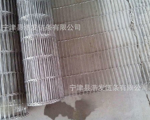 304不銹鋼乙型網帶