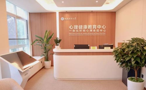 西南財(cái)經(jīng)大學(xué)啟用一體化積極心理體驗(yàn)中心 守護(hù)師生心靈健康的財(cái)務(wù)之舟